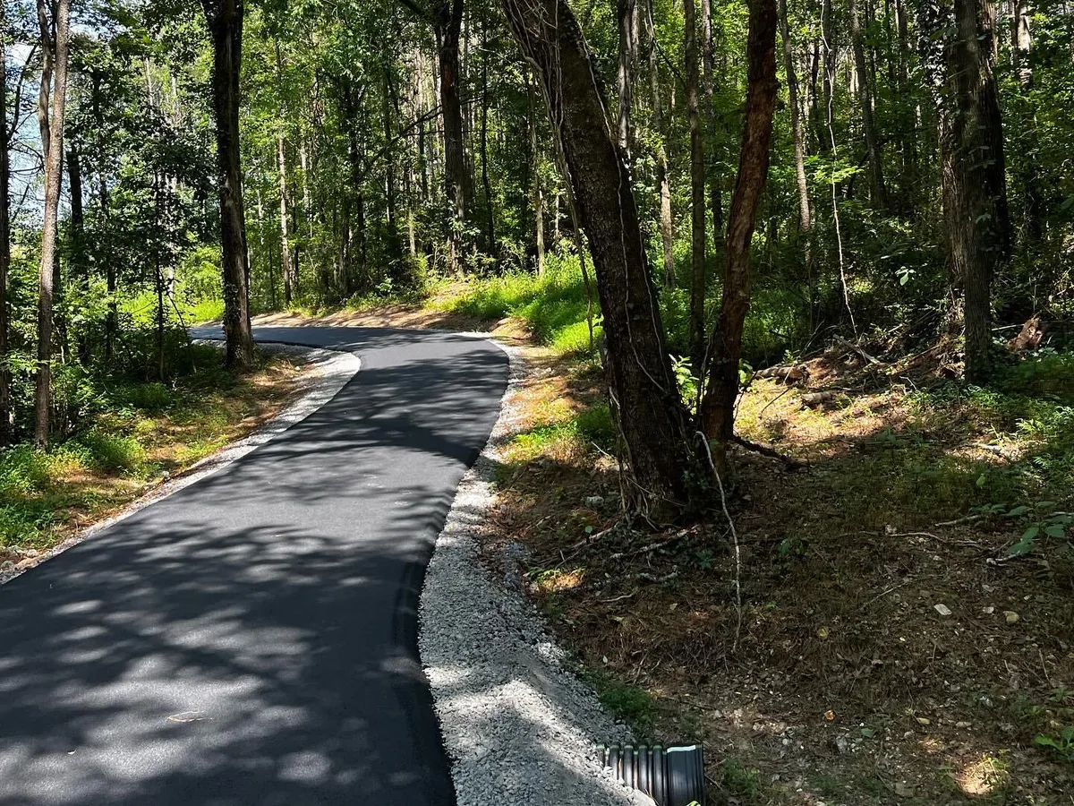 Narrow asphalt driveway winding through hardwood woods with a white gravel shoulder