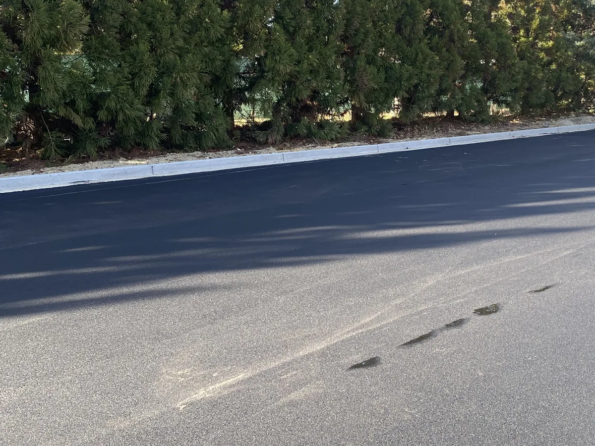 Wide, freshly paved two-lane asphalt surface running along a tall evergreen hedge